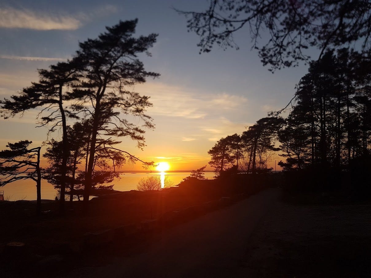 Solviken - sommerkveld og solnedgang. Galleribilde