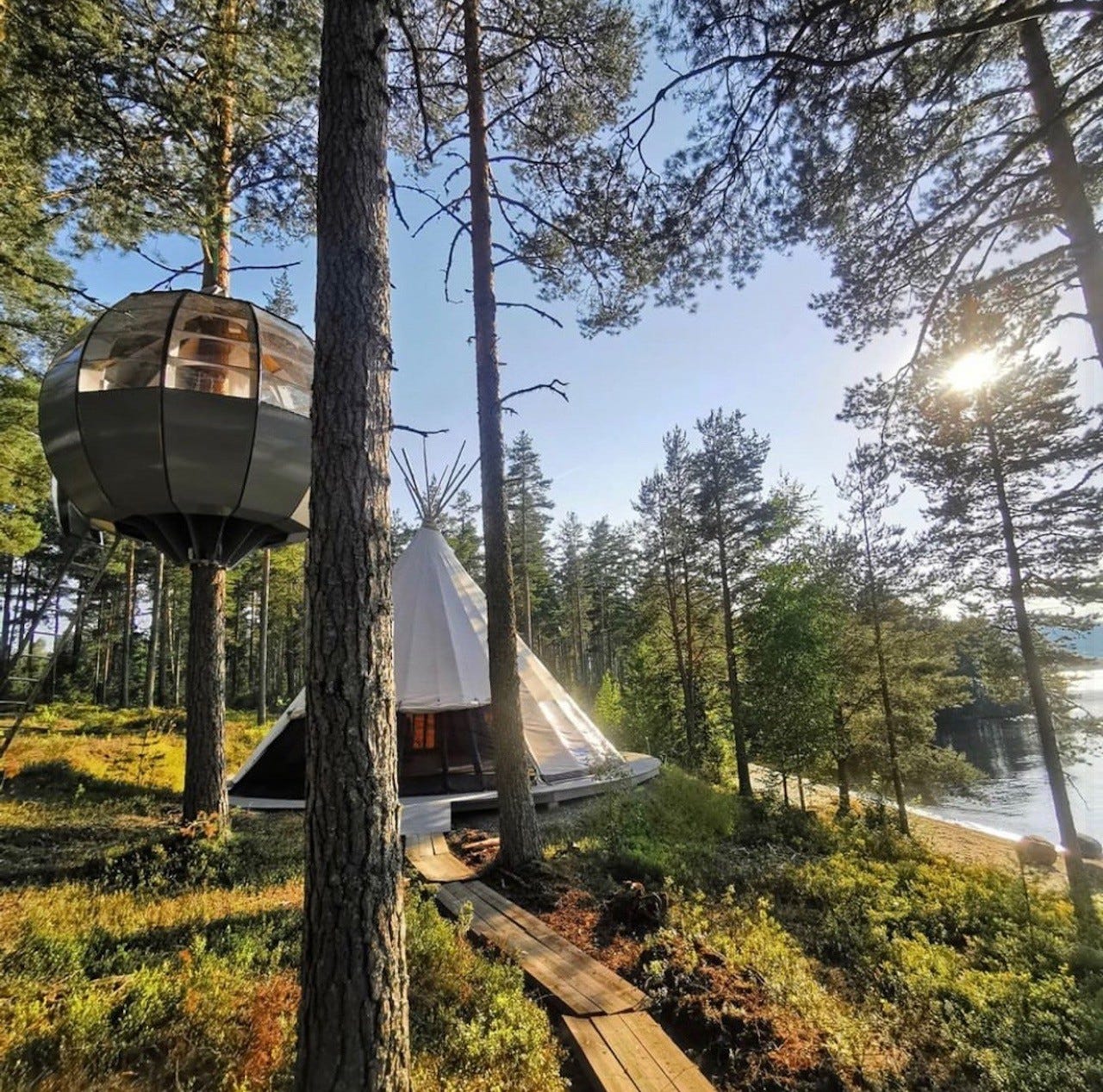 Tretopphytta og Lavvoen Galleribilde