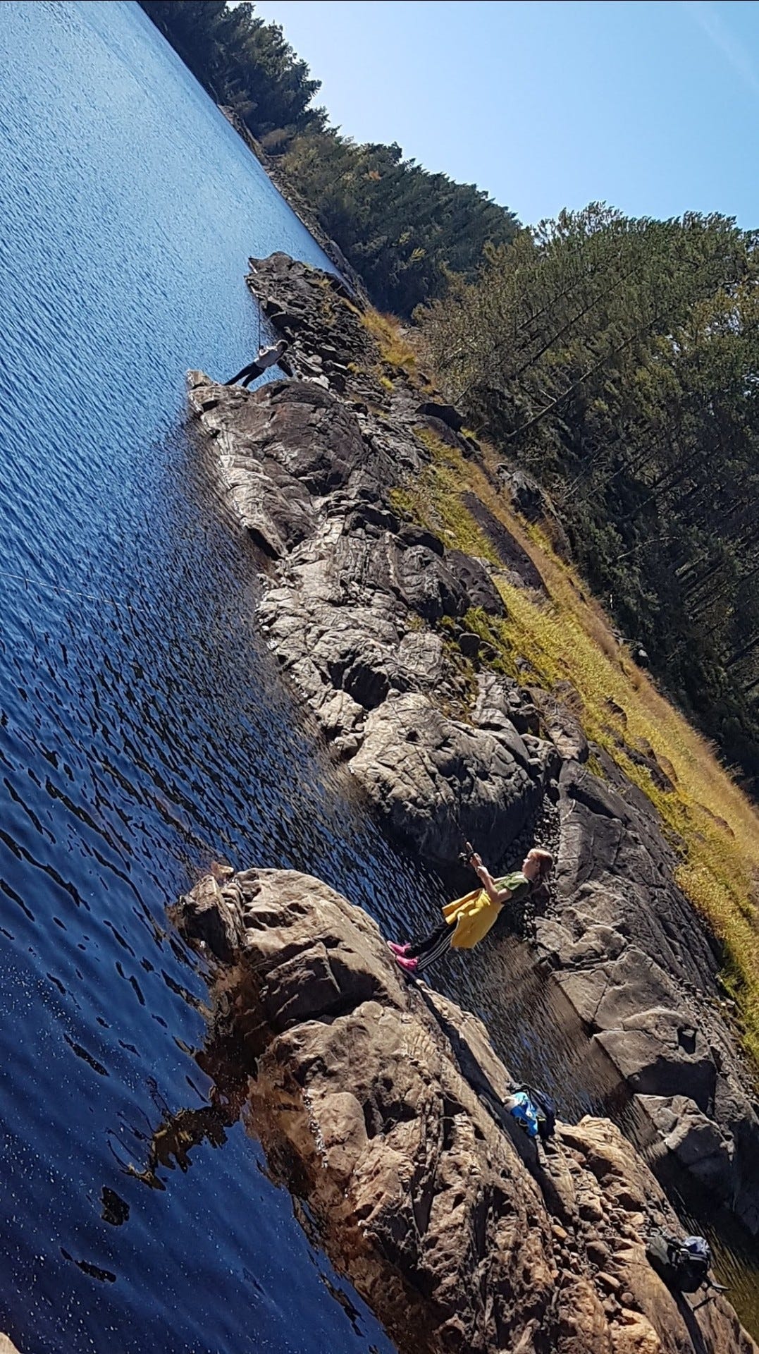 Fiskevann Galleribilde
