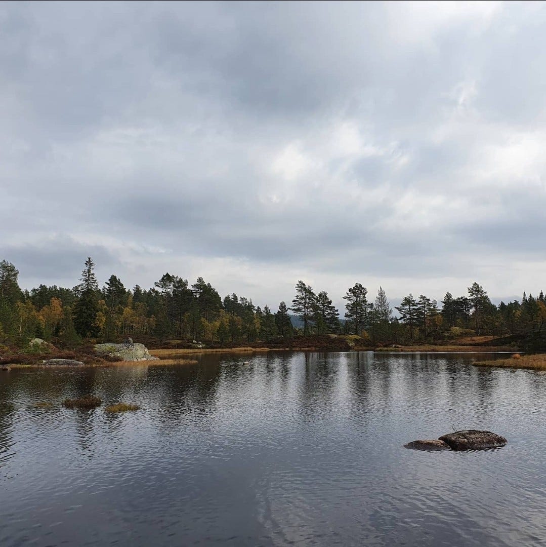 Fiskevann i umiddelbar nærhet Galleribilde