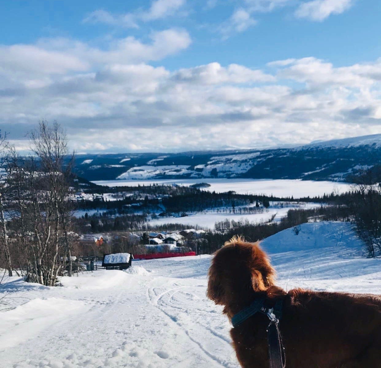 Ut på tur Galleribilde