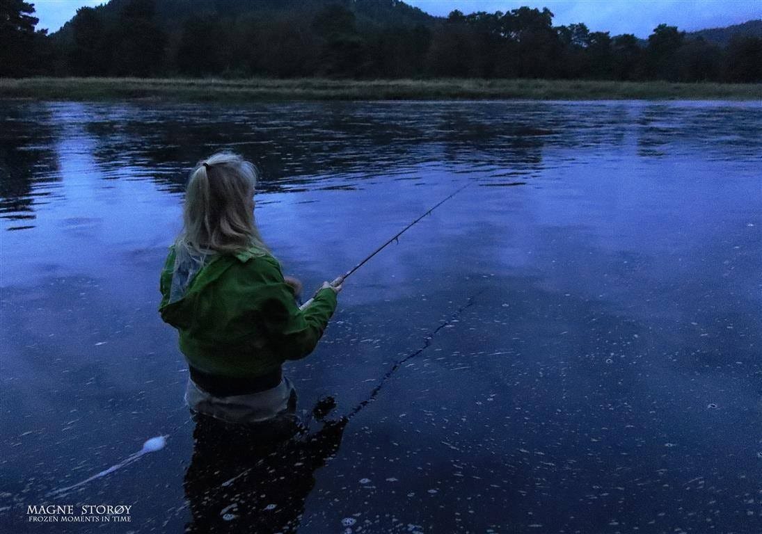 3 laks- & sjøørretelver innen OK rekkevidde , 12 min til nærmeste :-) Galleribilde