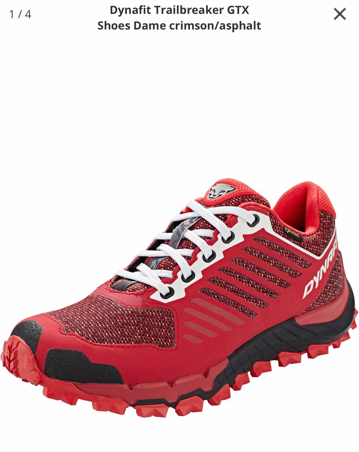 Dynafit Trailbreaker GTX GORE-TEX sko 