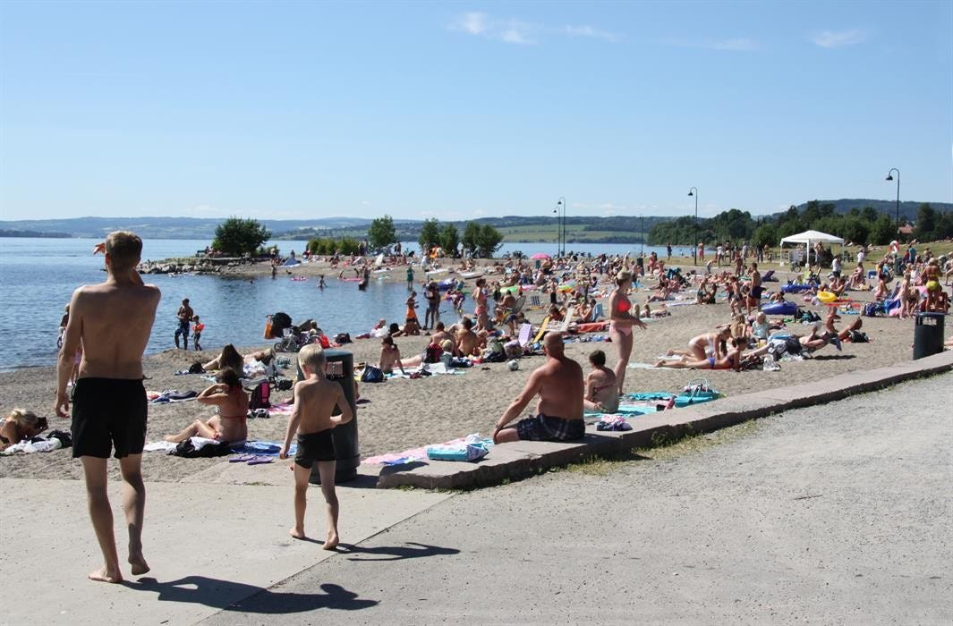 Koigen. Galleribilde