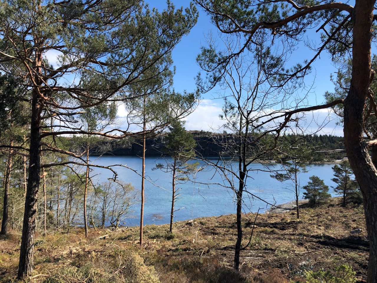 Nyhet! 6 flotte tomter med båtplass på attraktive Toftøysund i Tysvær!
