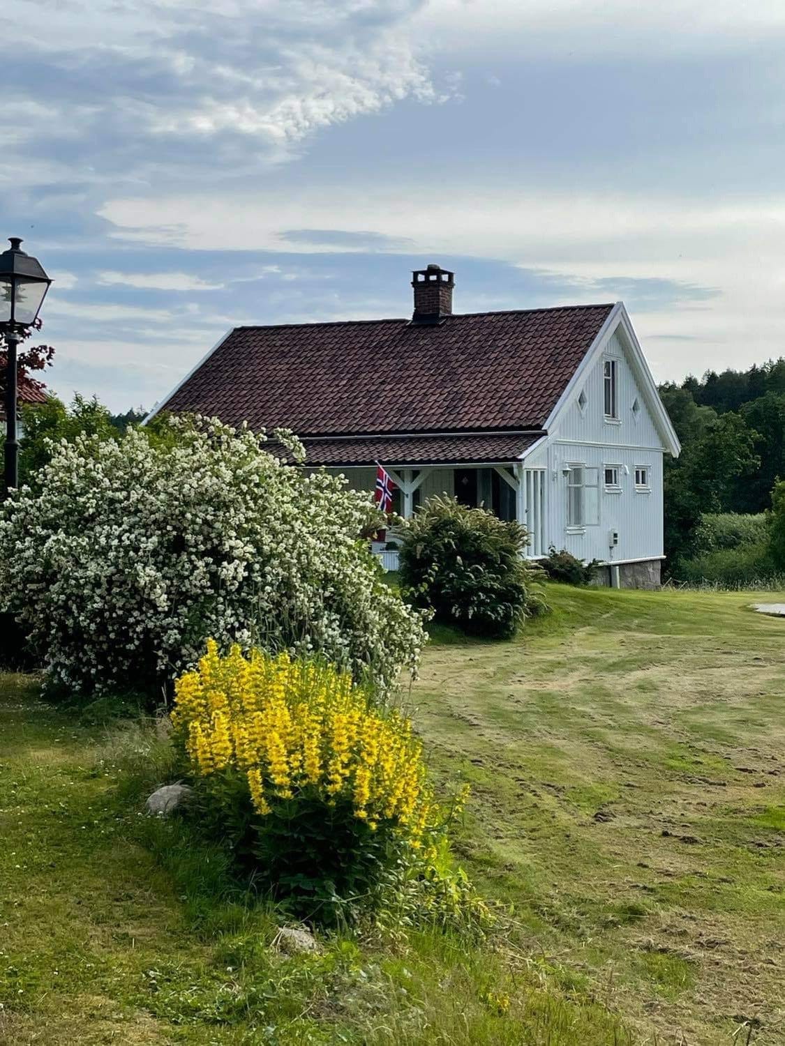 På stien til huset Galleribilde