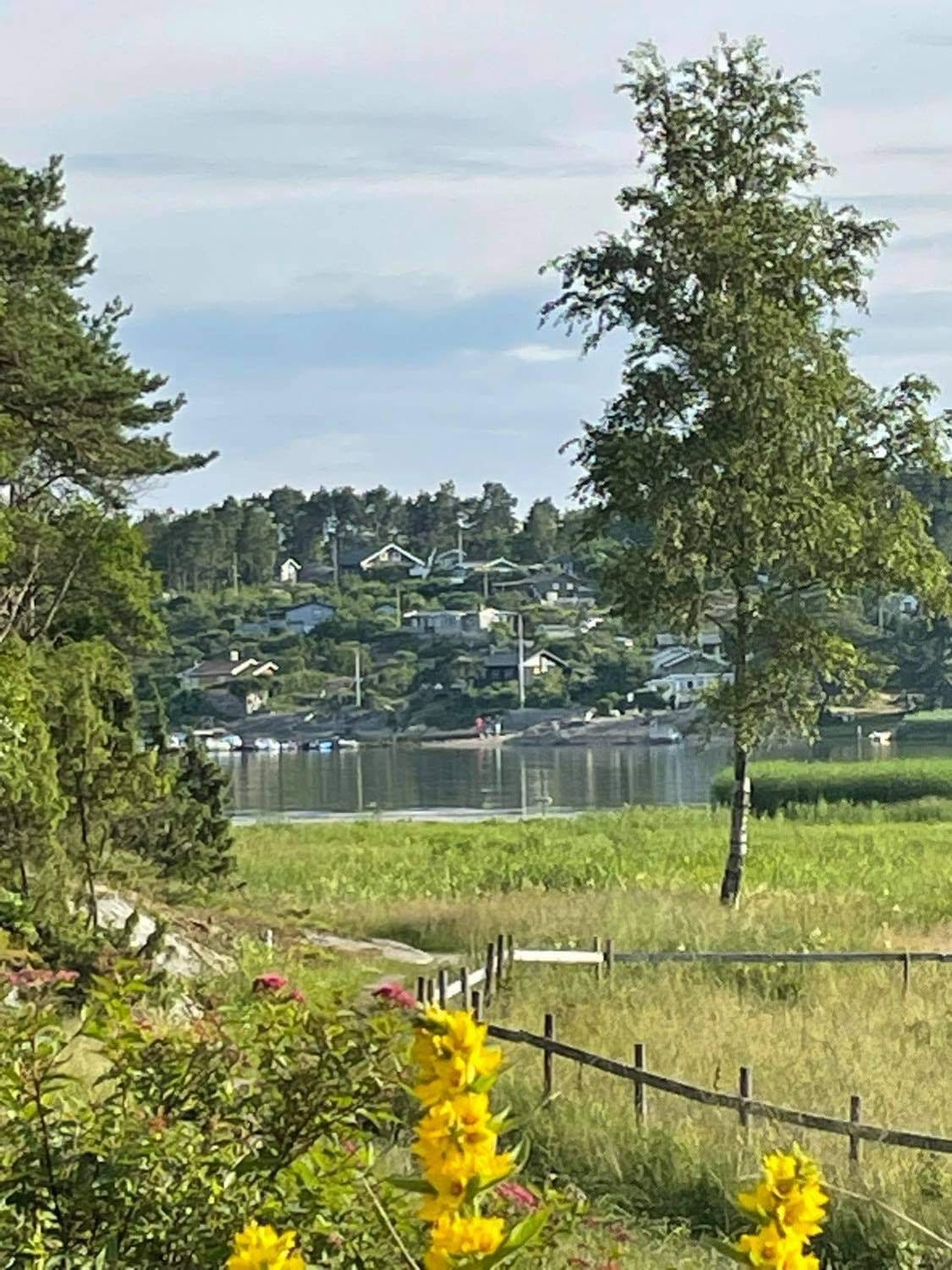 Kyststien går rett forbi huset Galleribilde