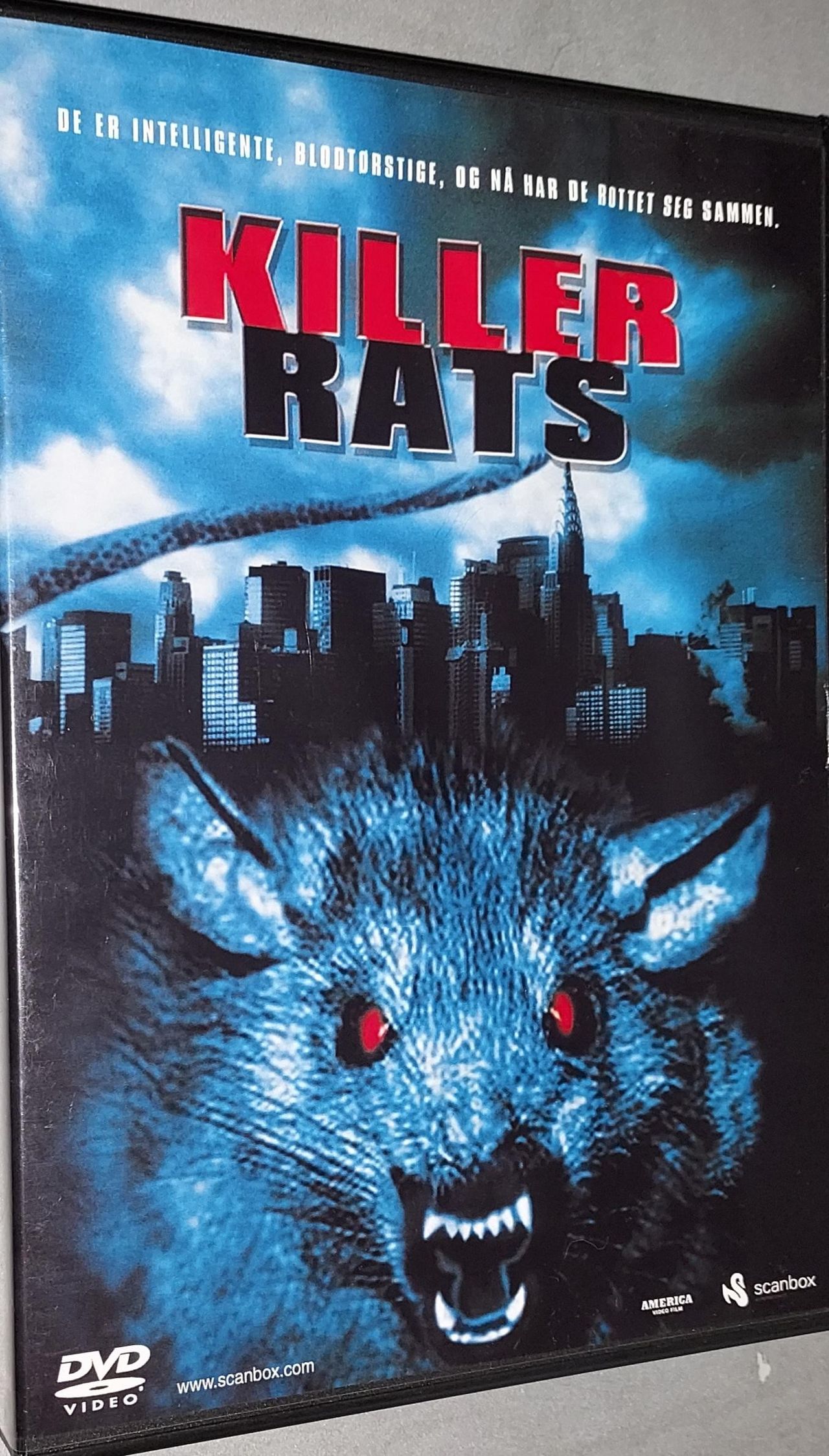 DVD.KILLER RATS. | FINN torget