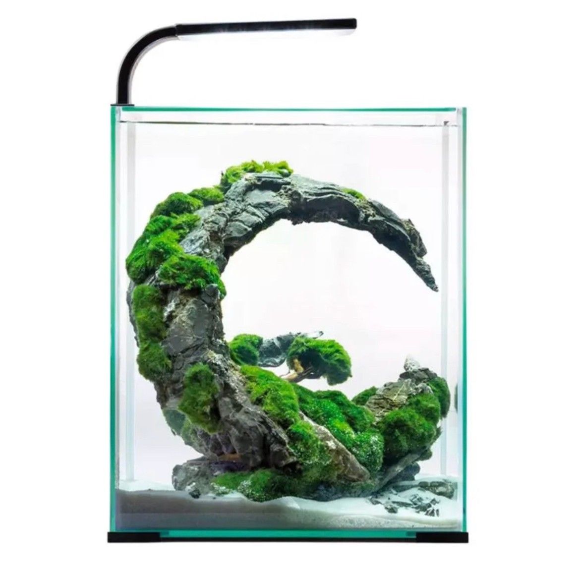 To stk AquaEl 10L akvarium selges billig | FINN.no