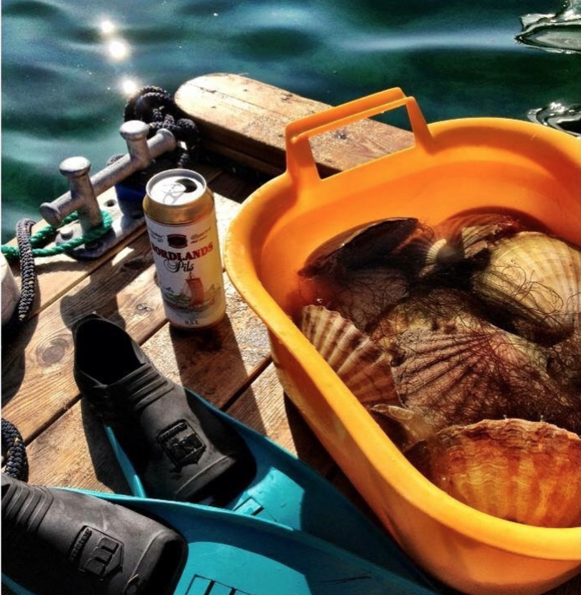 Kortreiste muslinger og Nordlandspils hører sammen Galleribilde