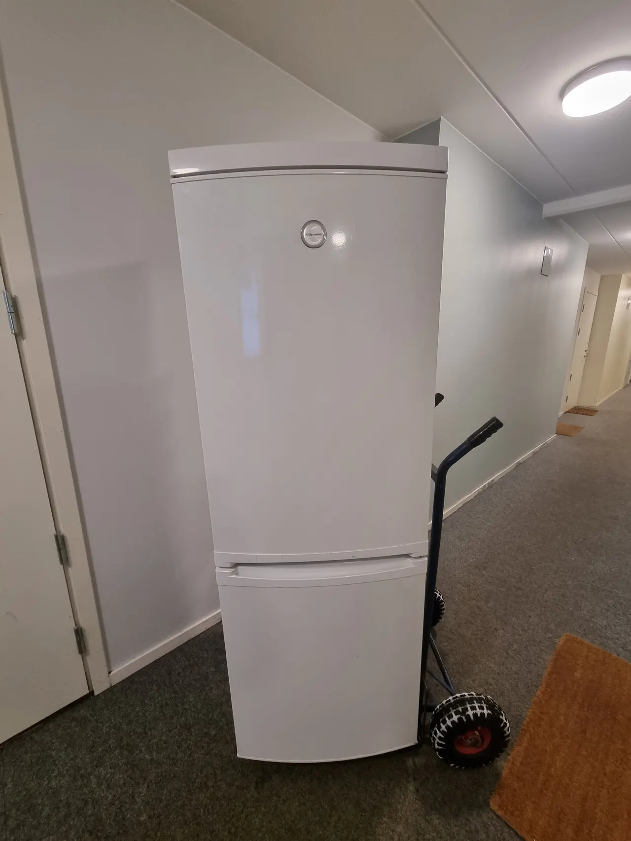 Electrolux KOMBISKAP - Kjøleskap m/fryser - 175 cm - god stand - kan ...