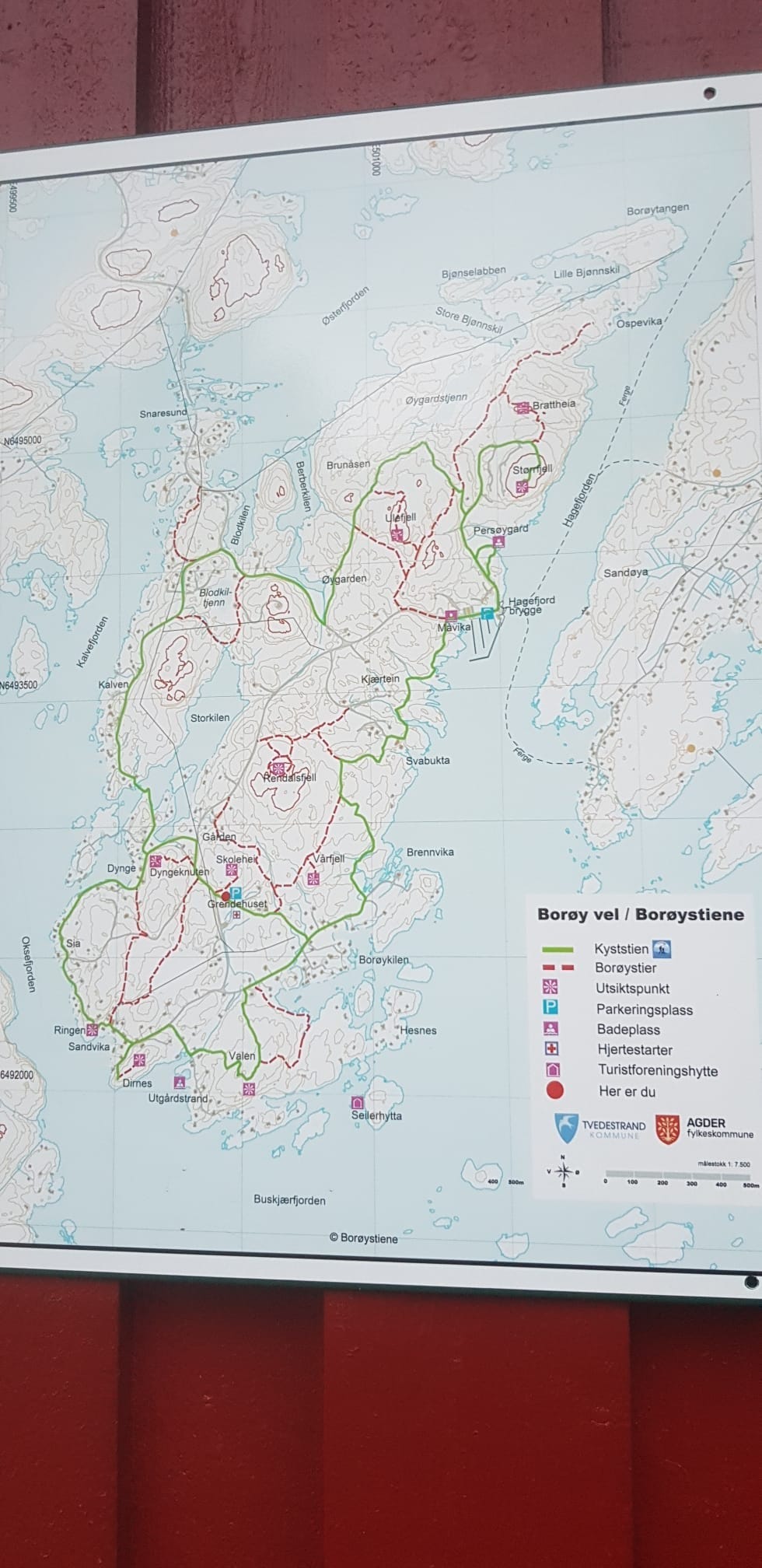 Kart over turstier rundt på Borøya Galleribilde