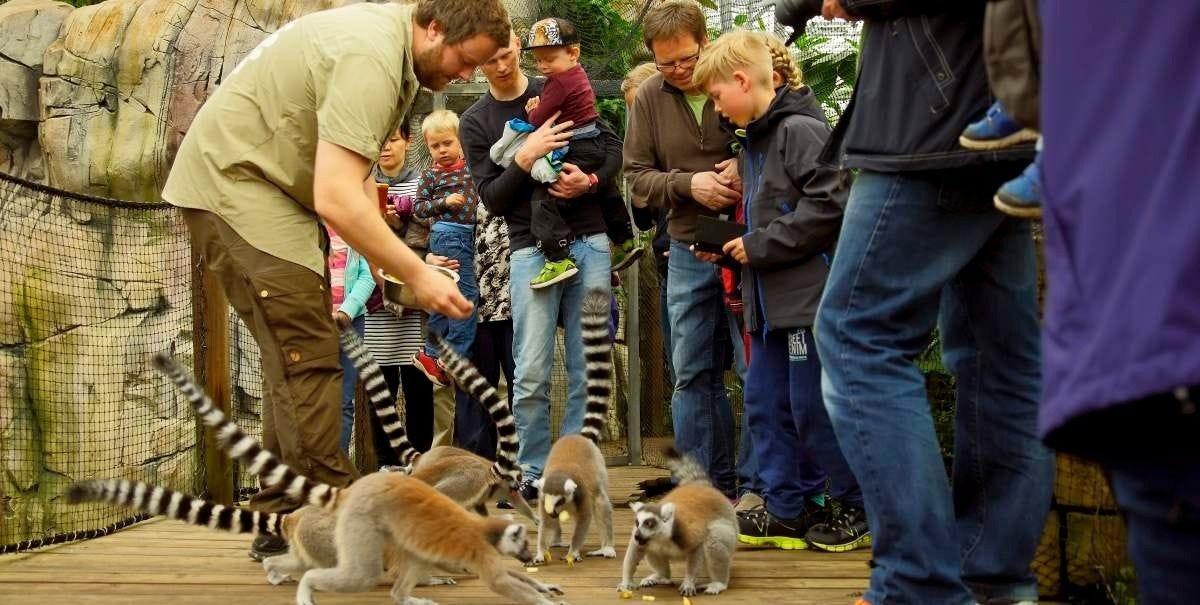 Den lille dyrehagen på Brokelandheia ligger ca 10 min unna Galleribilde