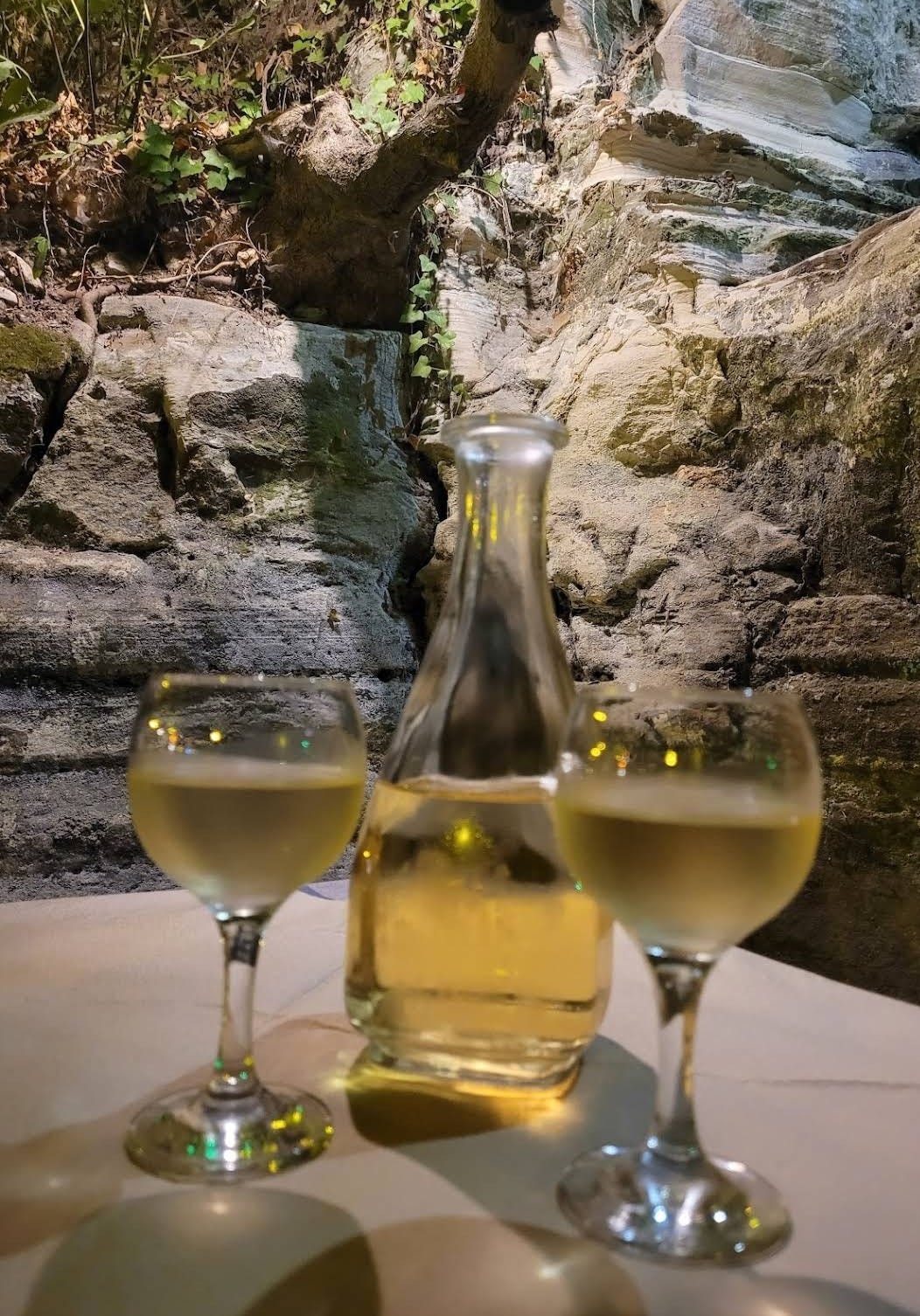 Lokal vin Galleribilde