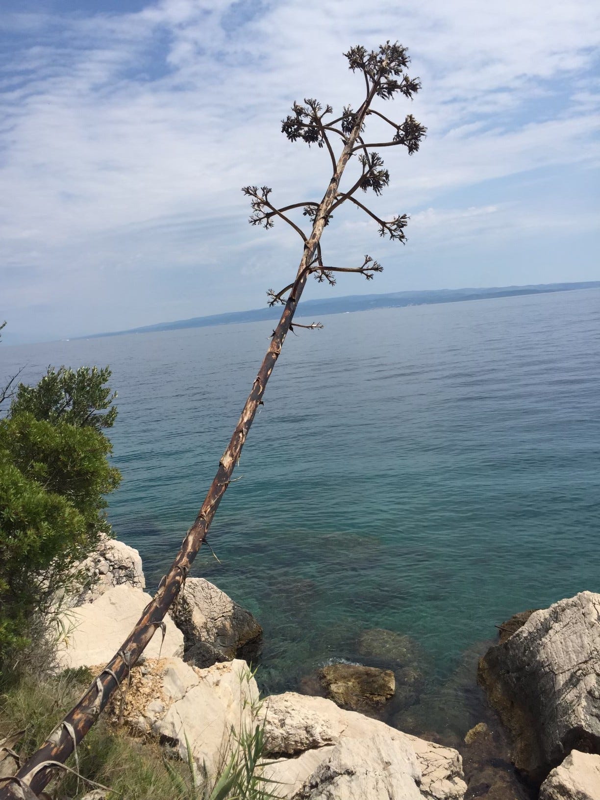 Crkva Gospe od Prizidnice-Slatine Galleribilde