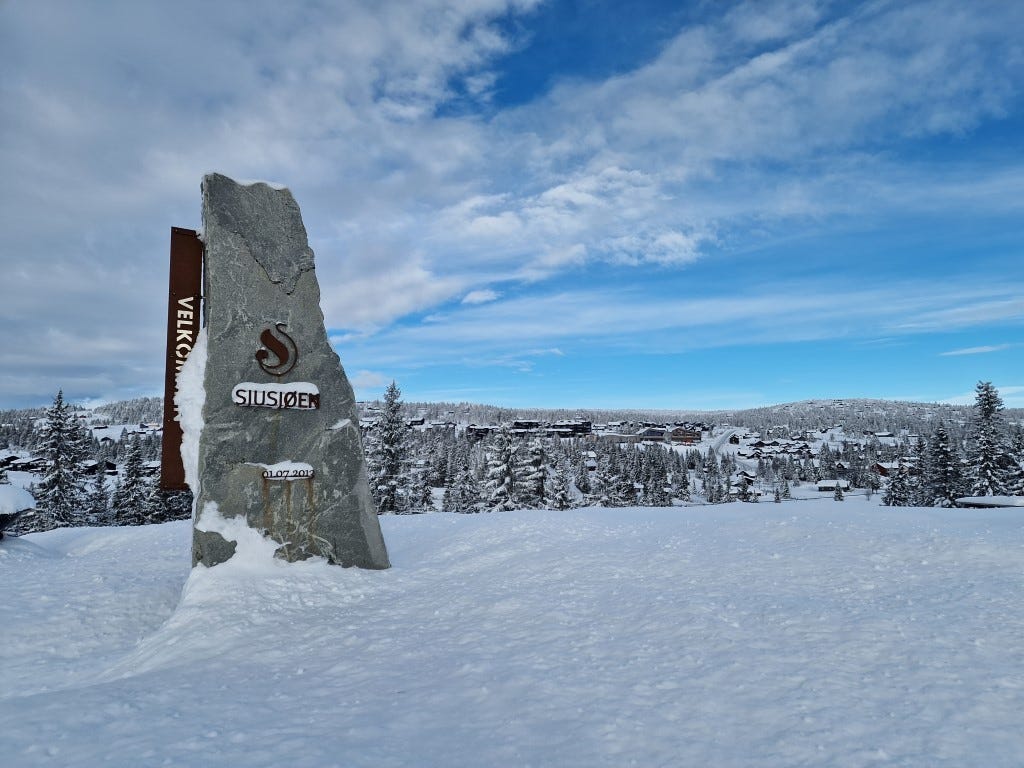 Sentralt, med enkel adkomst fra hovedvein. Galleribilde