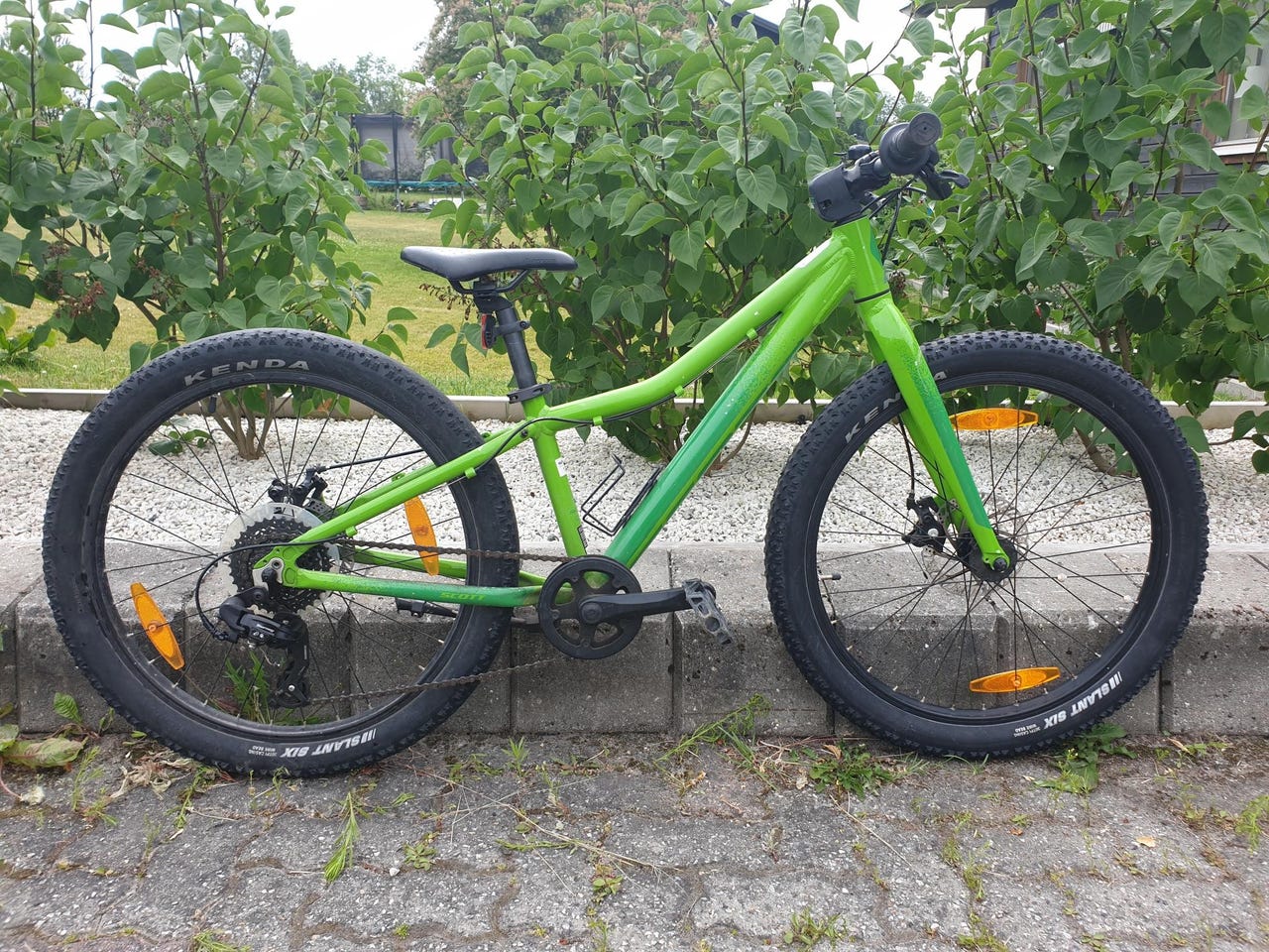 Scott Roxter 24\