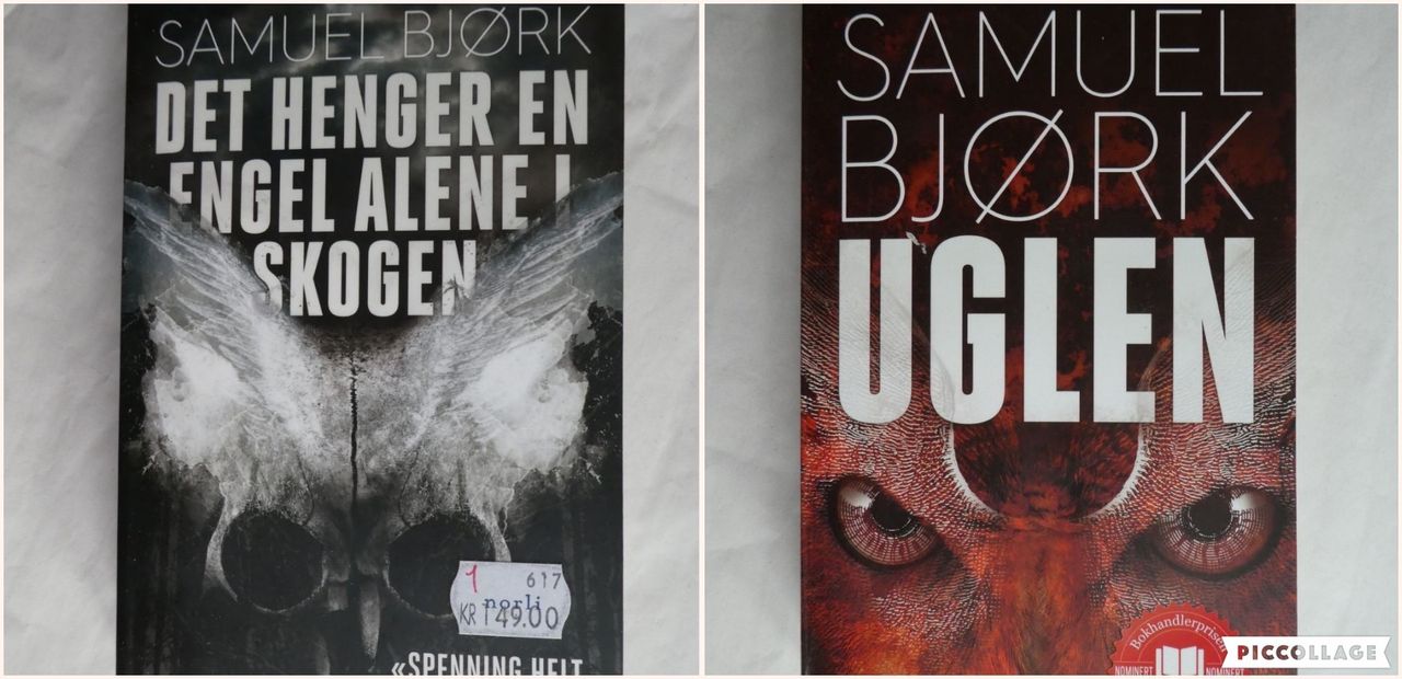 Série Mia Krüger & Holger Munch - Livro 2: A Coruja Caça Sempre à Noite -  Brochado - Samuel Bjørk - Compra Livros ou ebook na