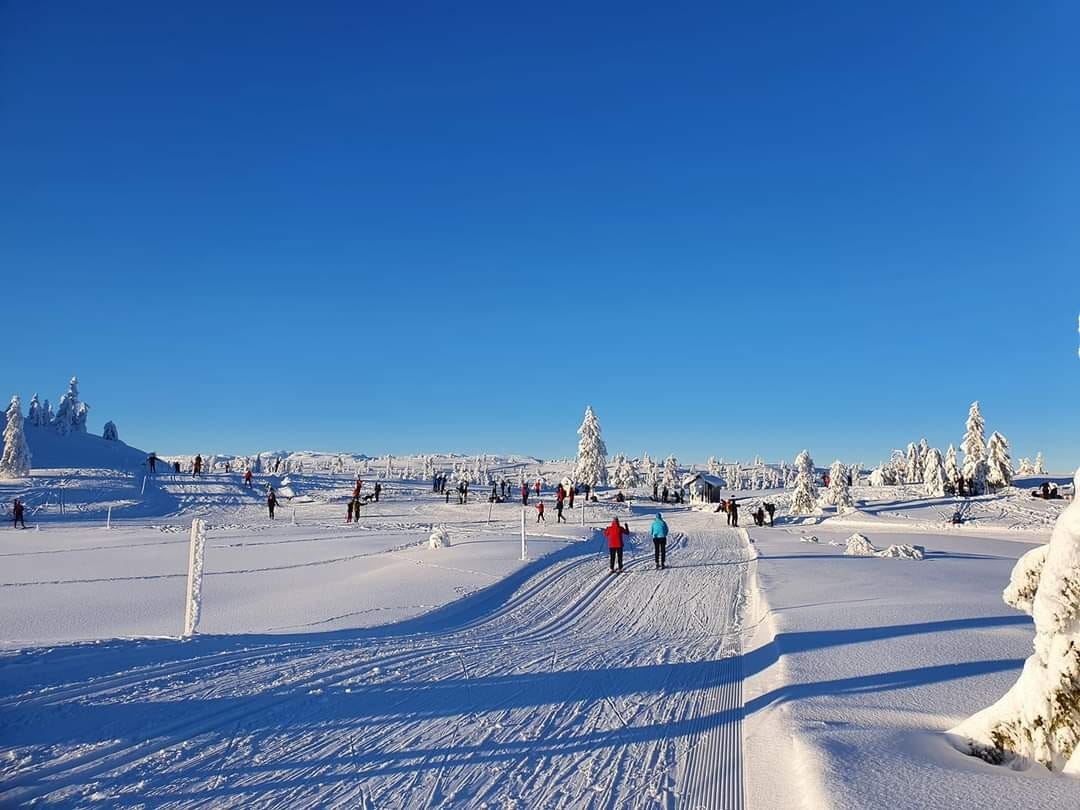 Det er milevis med flotte, nypreparerte løyper på Blefjell Galleribilde