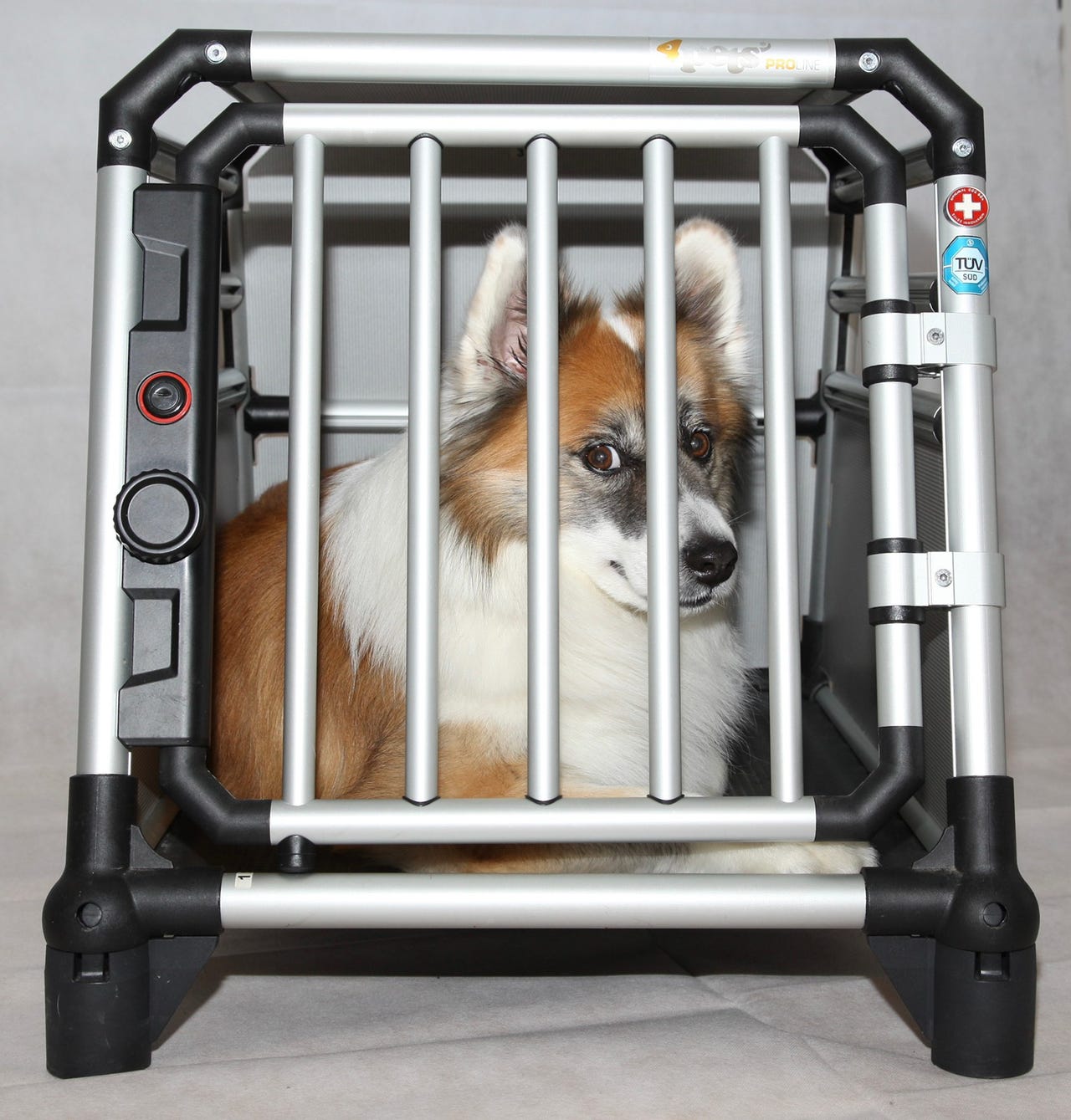 ペット用 4pets ドッグボックスイーグル 美品