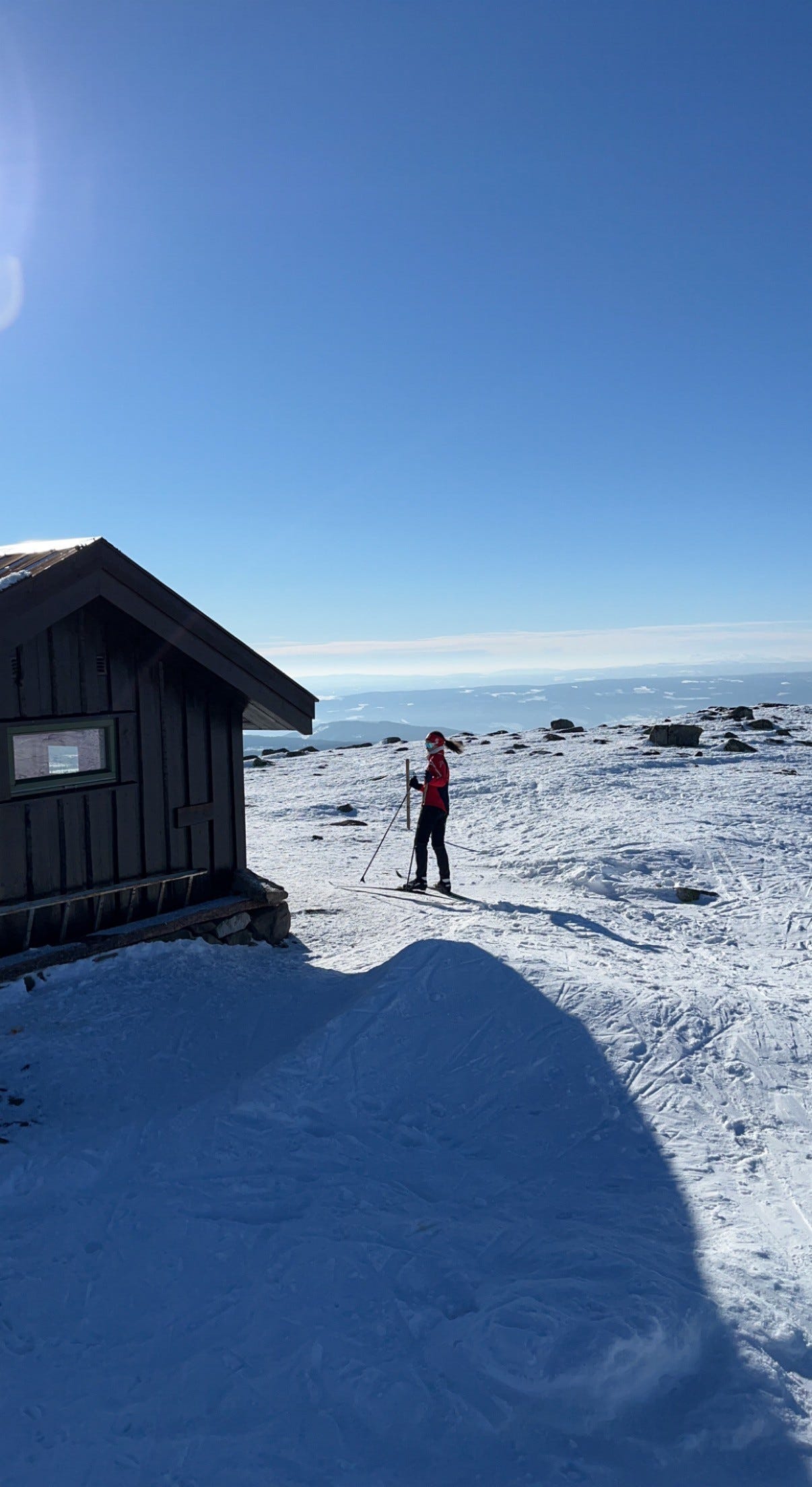Nevelfjell i mars Galleribilde