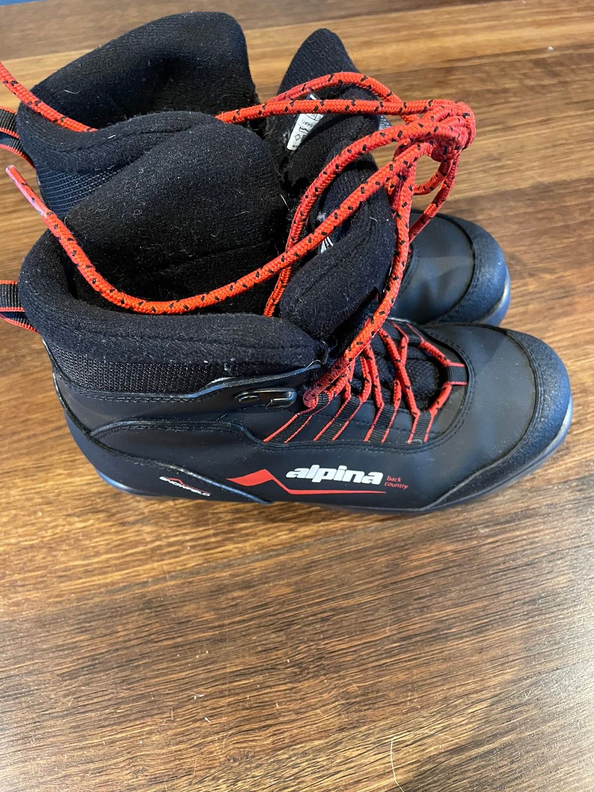 Alpina snowfield top