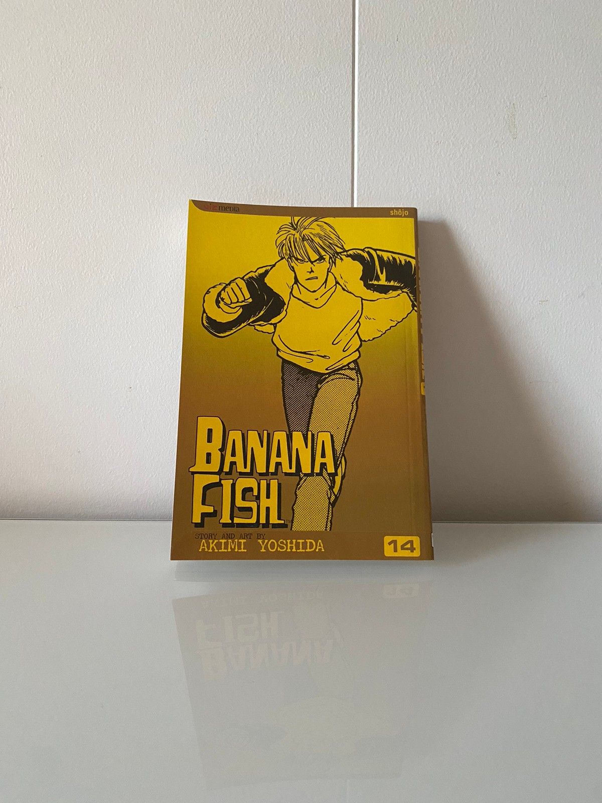 Banana Fish Manga Volume 14