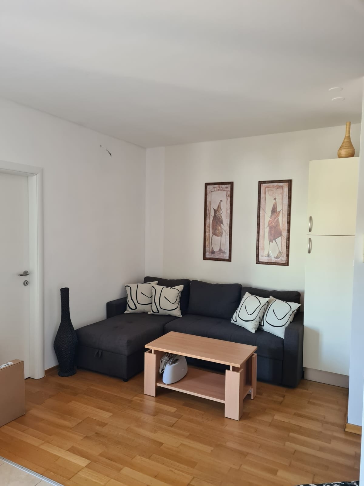 Stue med sovesofa Galleribilde