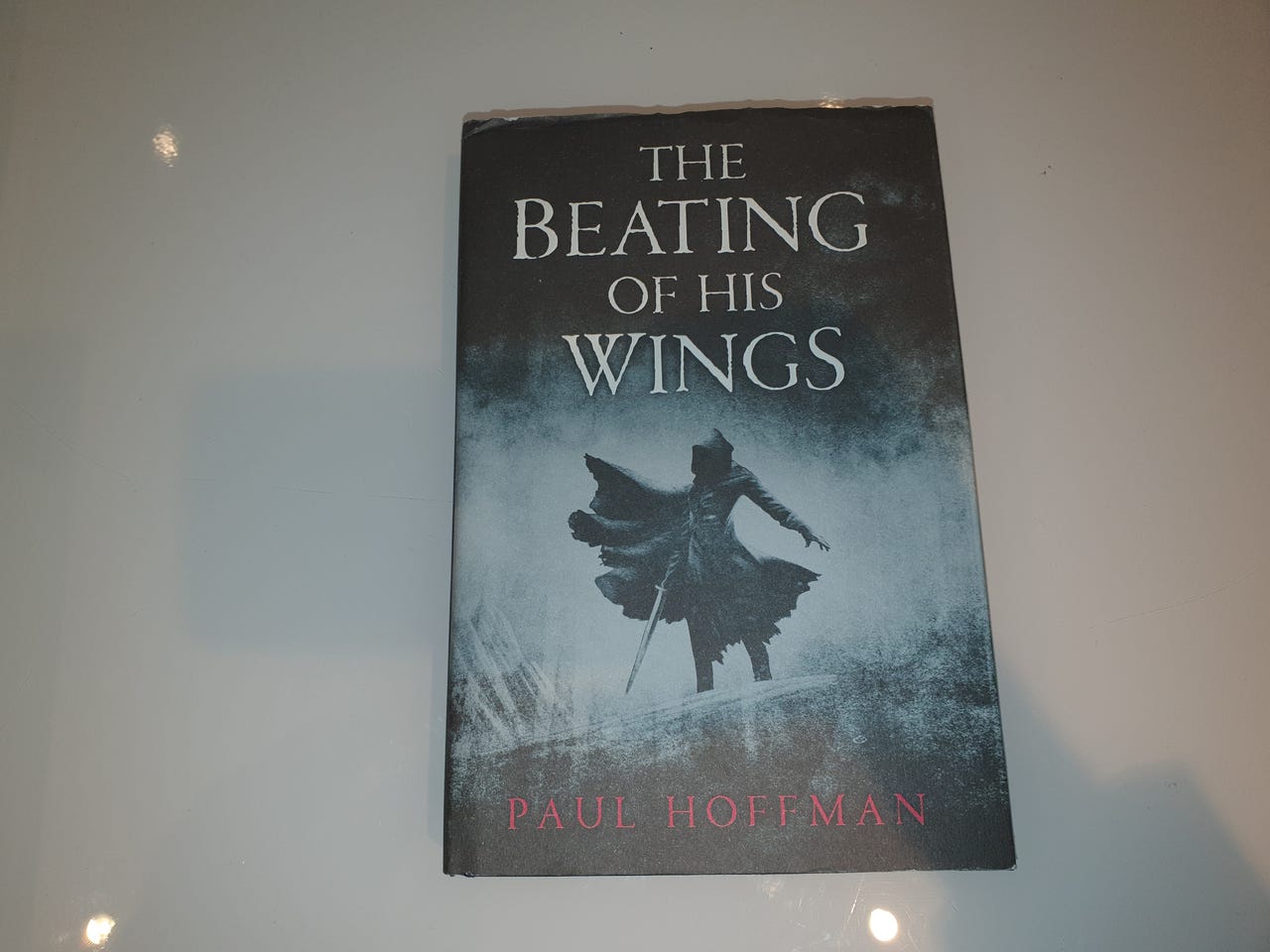 The Beating Of His Wings Review
