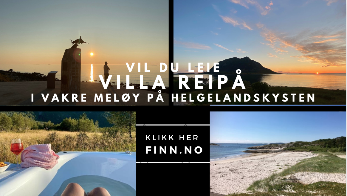 Velkommen til Villa Reipå på vakre Helgelandskysten Galleribilde