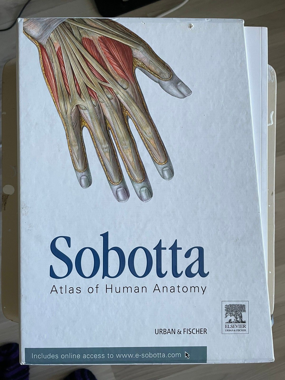 Sobotta Atlas Of Human Anatomy, Package, 15 Th Edition Latin/English ...