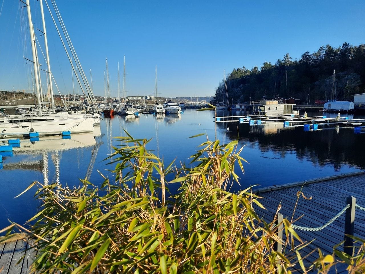 Nydelige kyststier Galleribilde