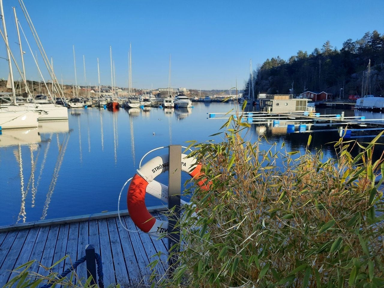 Nydelige kyststier Galleribilde