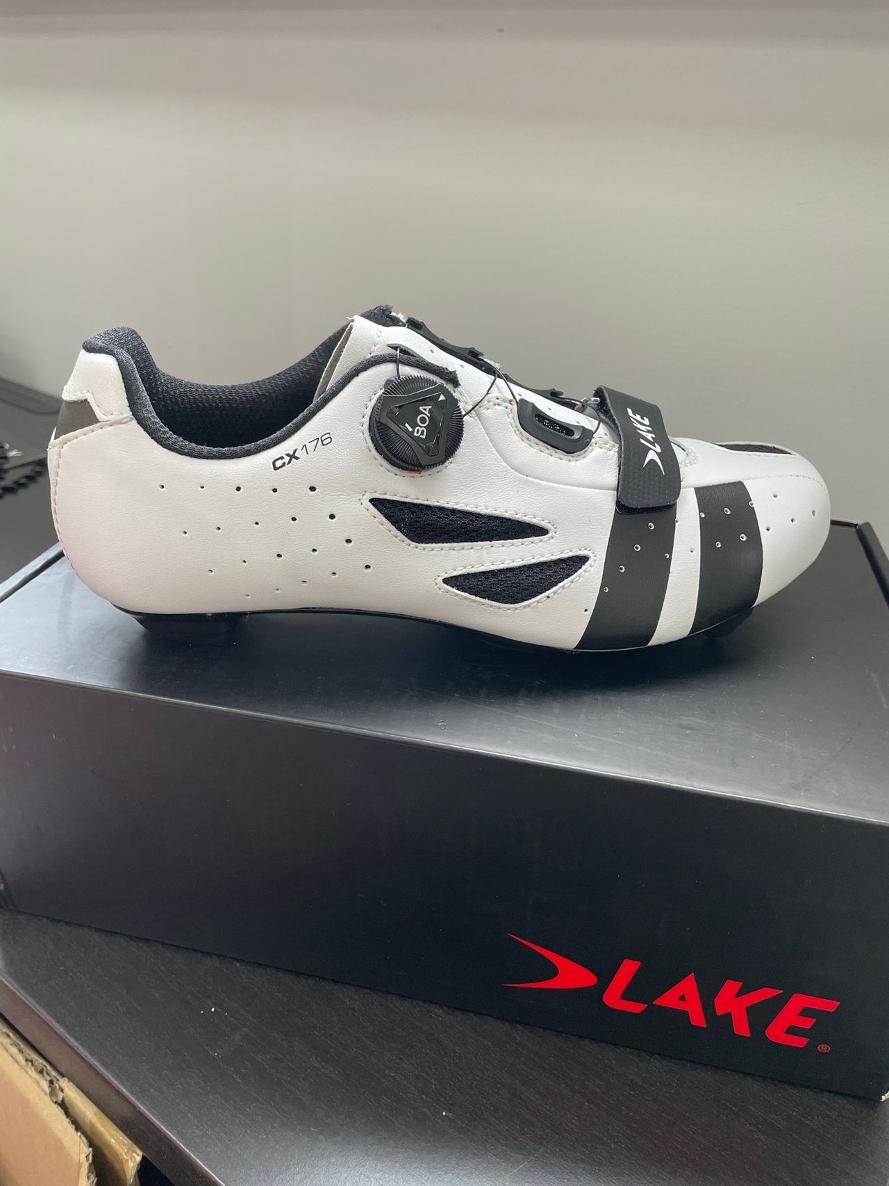 lake cx176