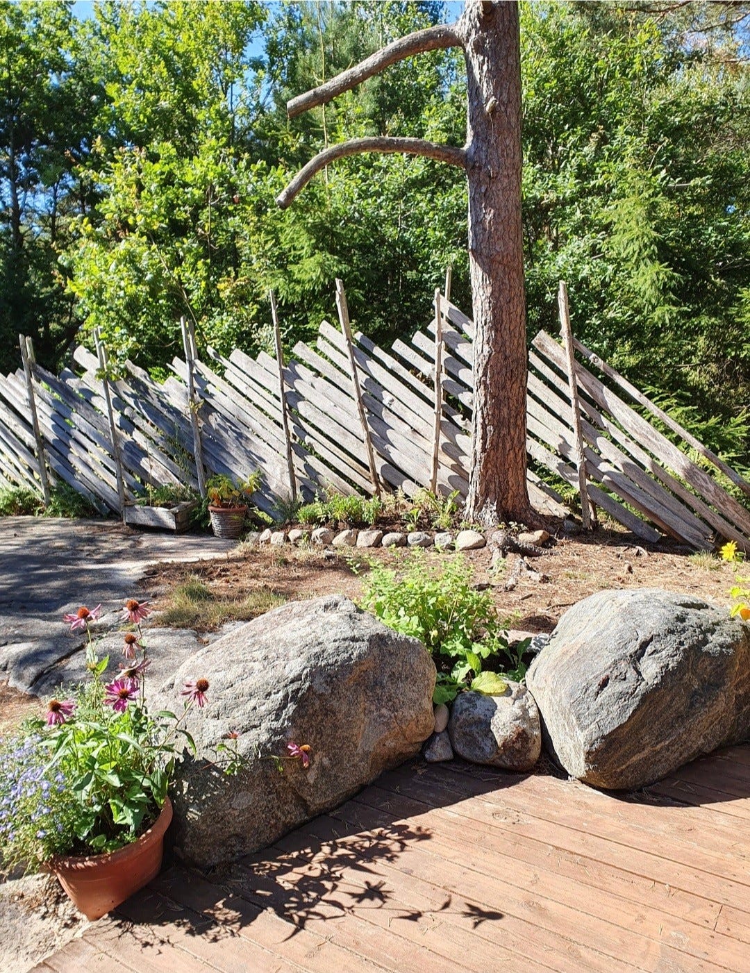 Del av uteplass Galleribilde