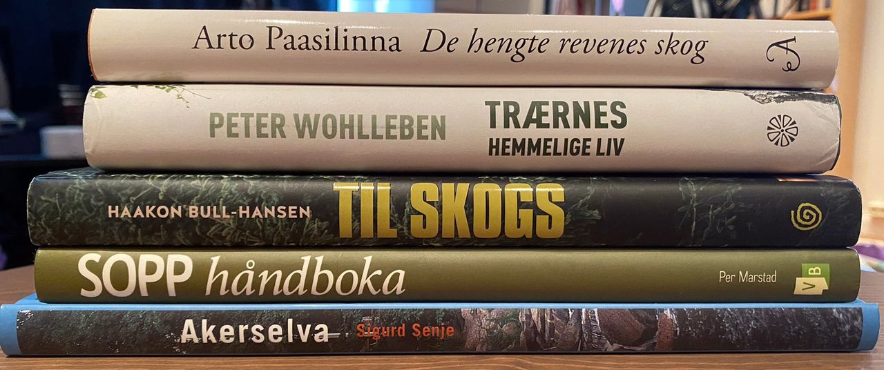 De Hengte Revenes Skog
