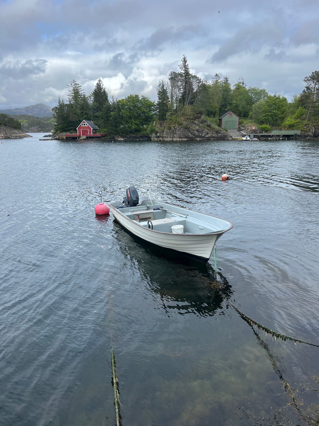 Rana Rana 17 Fisk FINN.no