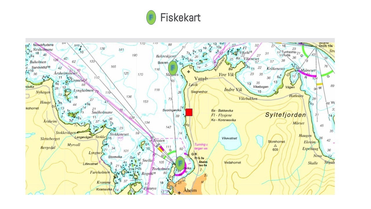 Gode fiskeplasser nær hytta Galleribilde