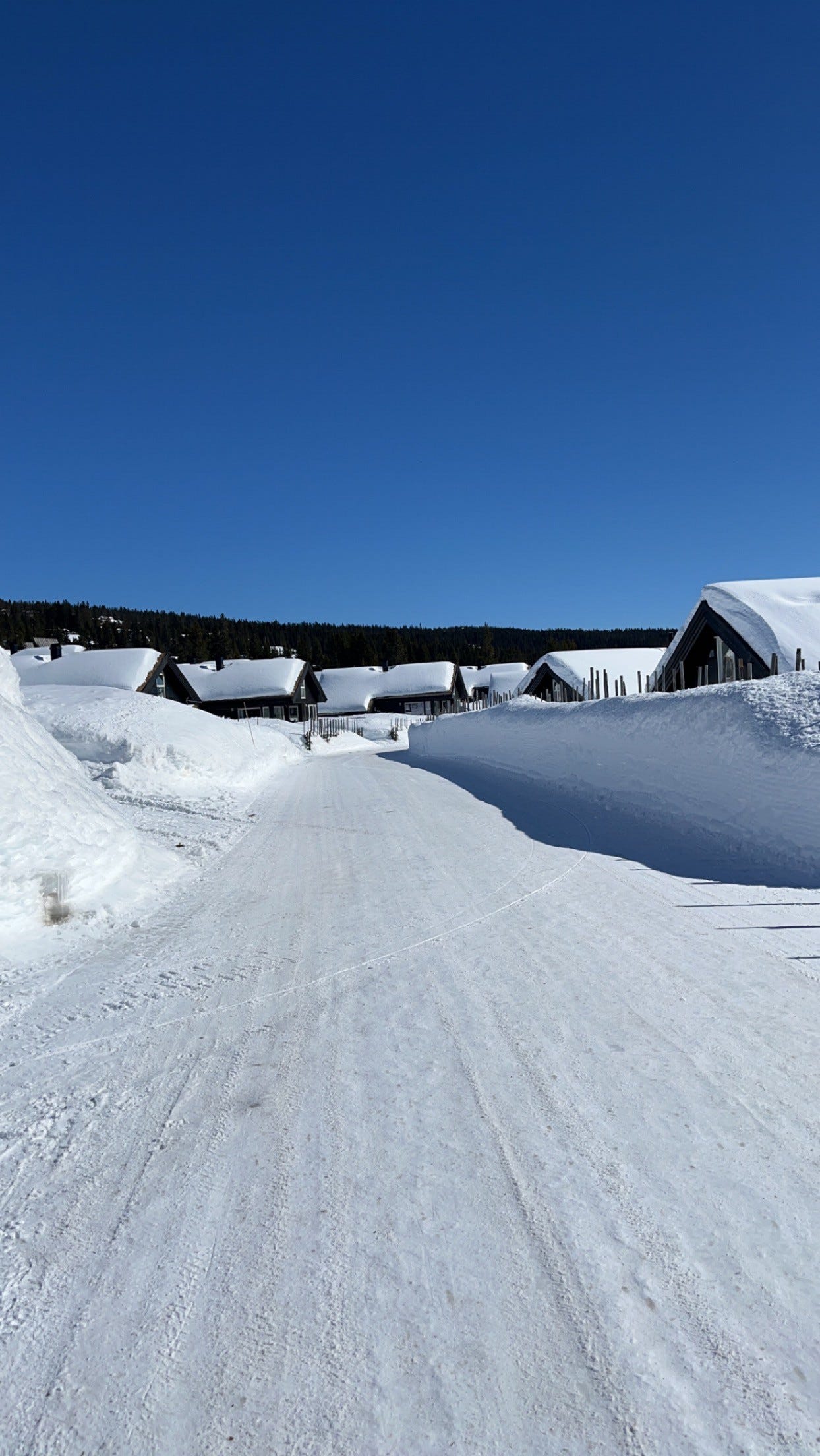 Leirvegen Galleribilde