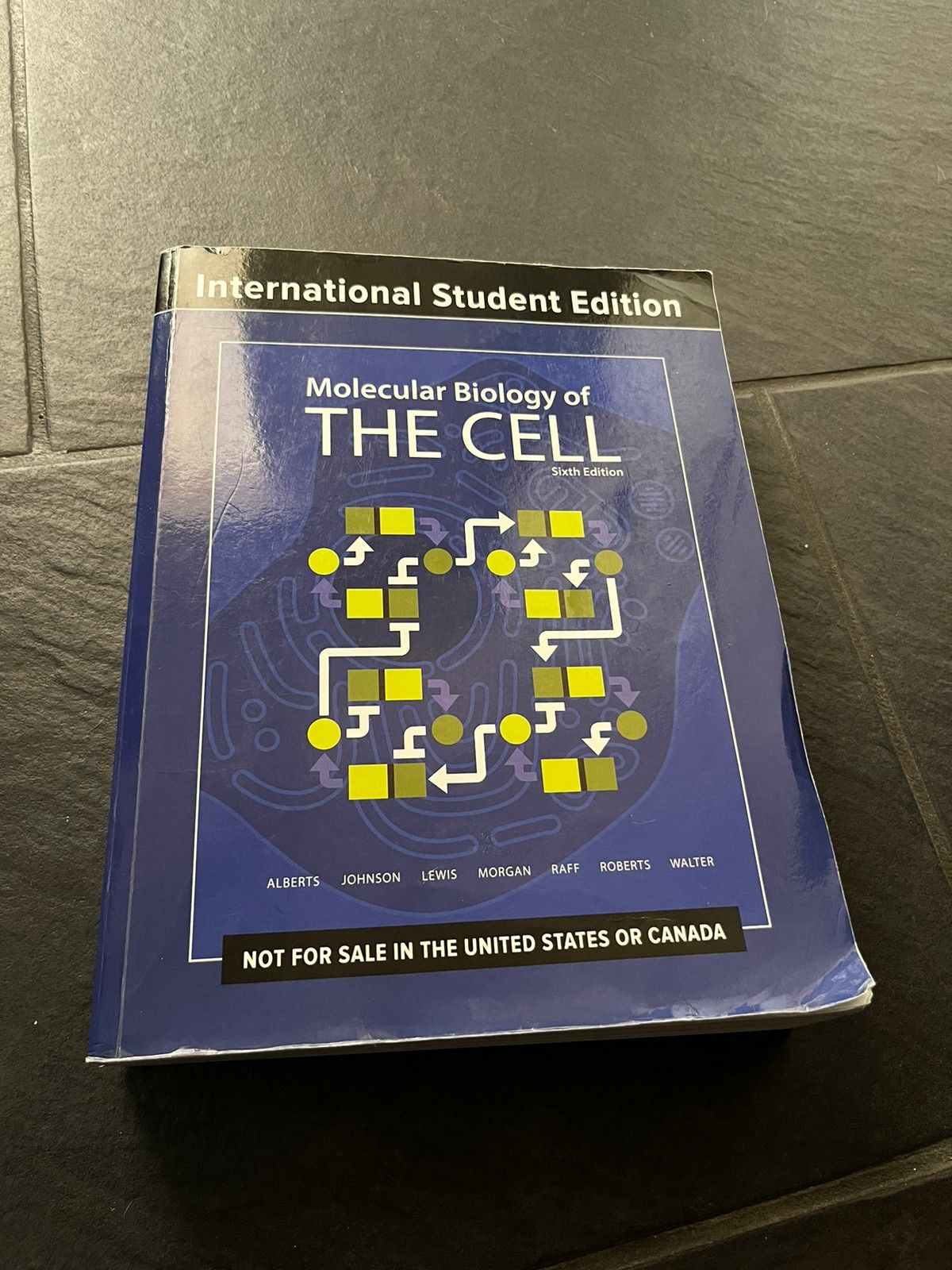 Molecular biology of the cell | FINN torget