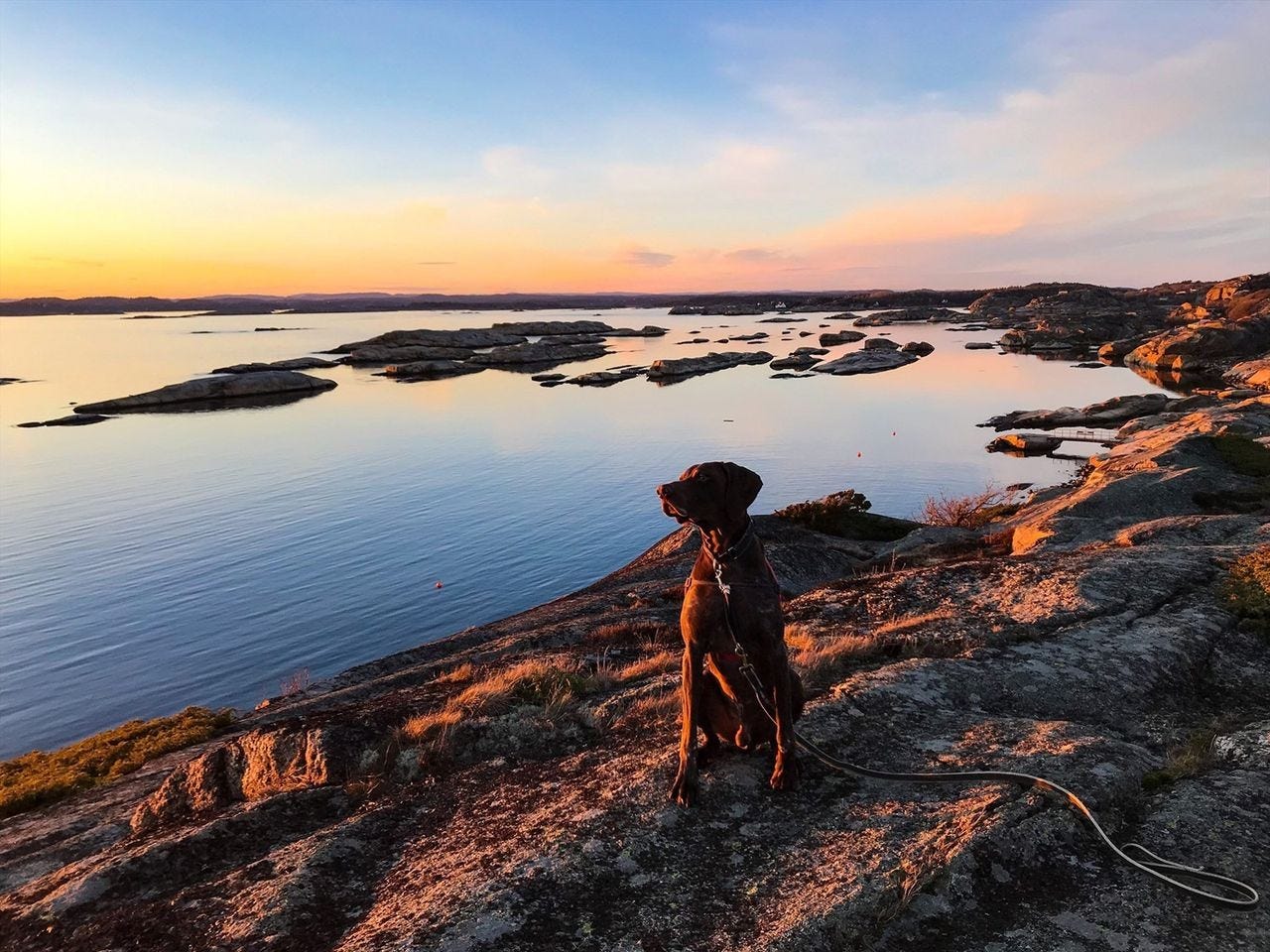 Nyt varme og fine solnedganger i skjærgården Galleribilde
