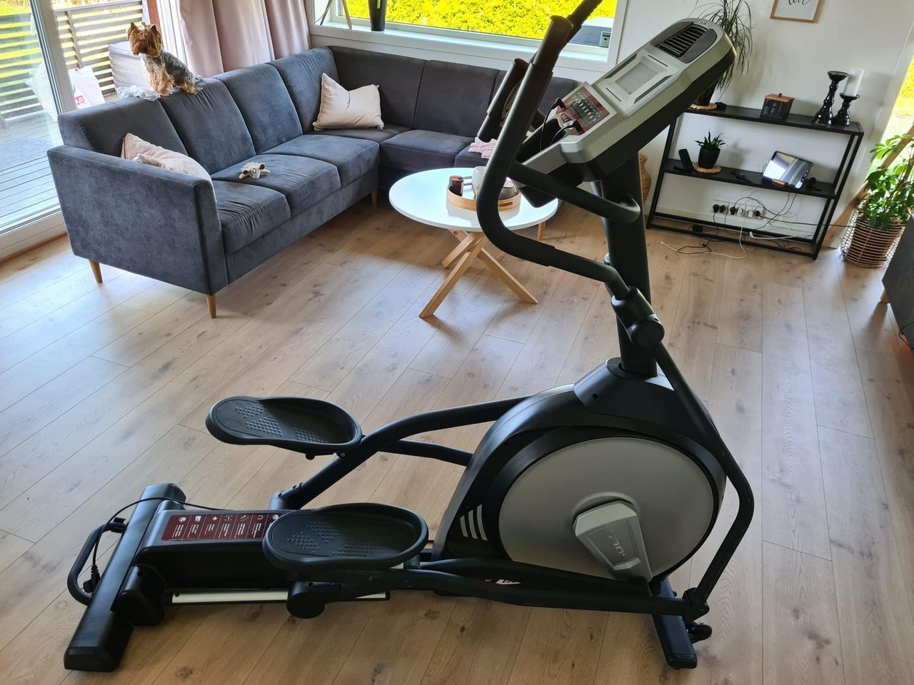 Sole e23 online elliptical