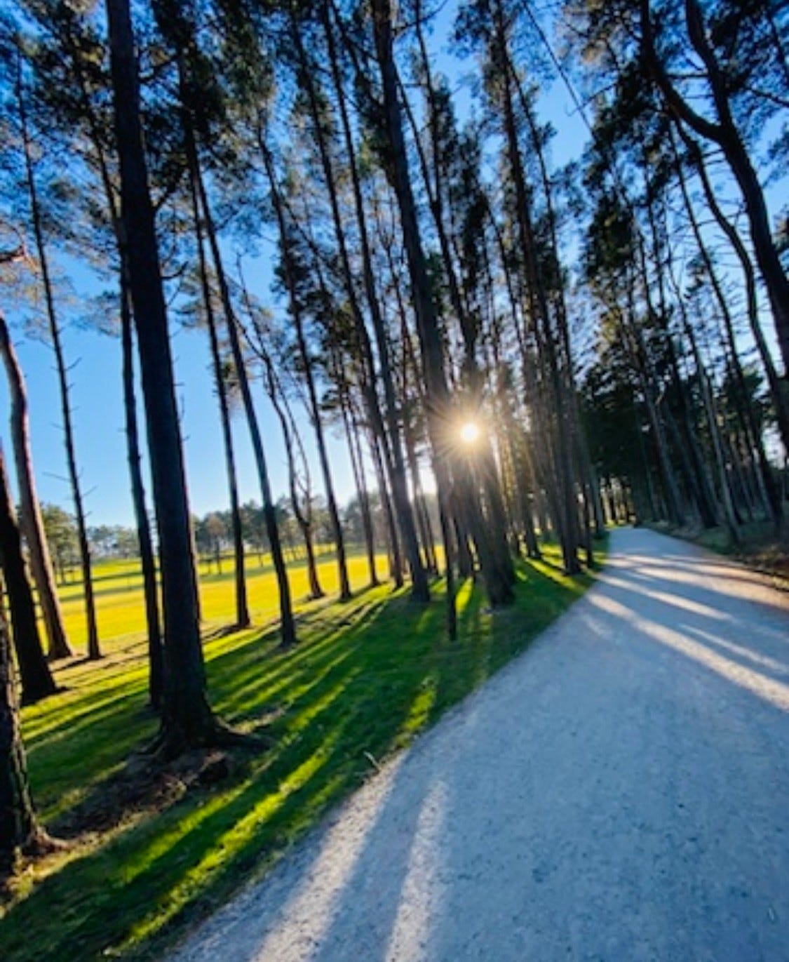 Stokkavannet tursti - gode golfmuligheter Galleribilde