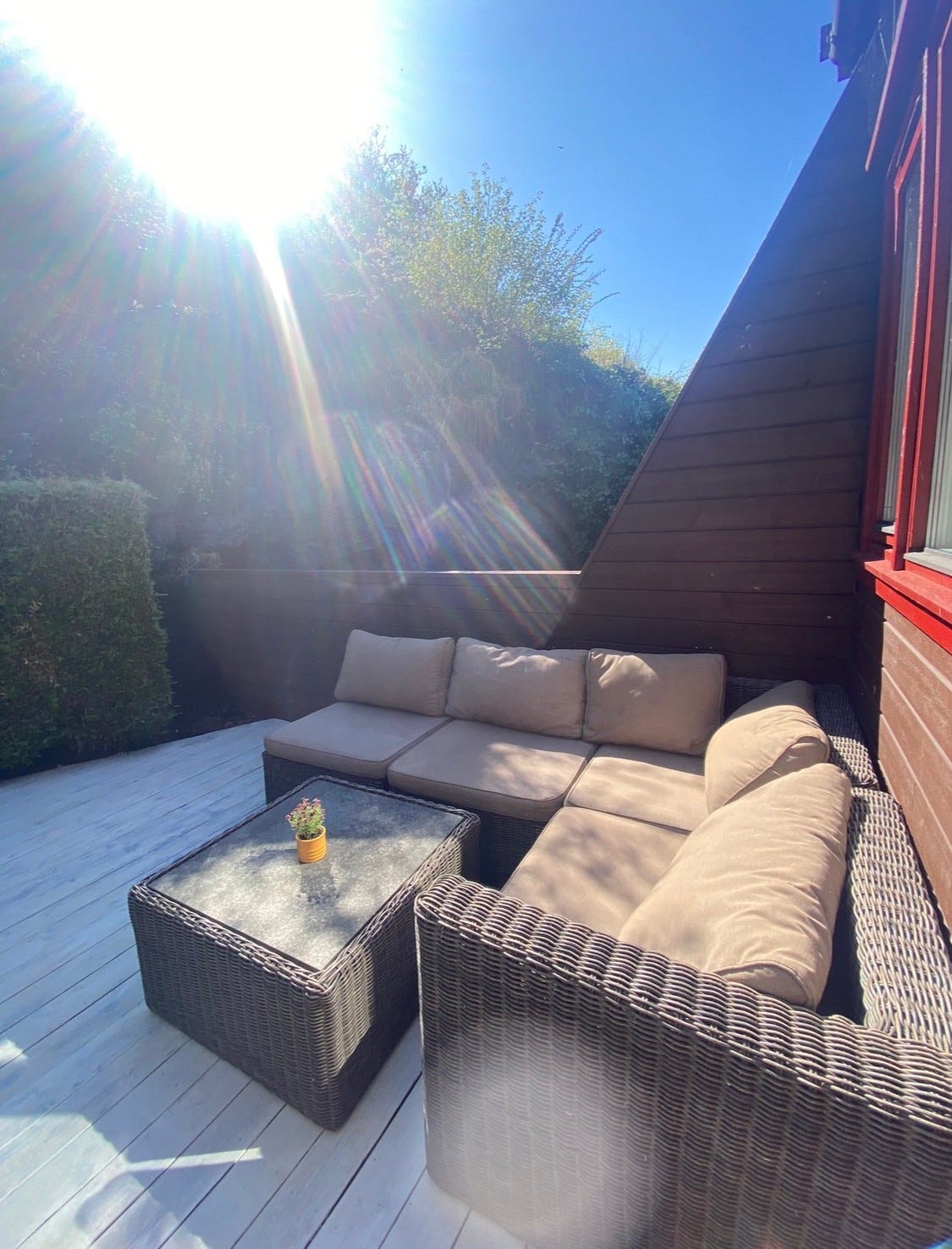 Usjenert terasse med gode solforhold. Galleribilde