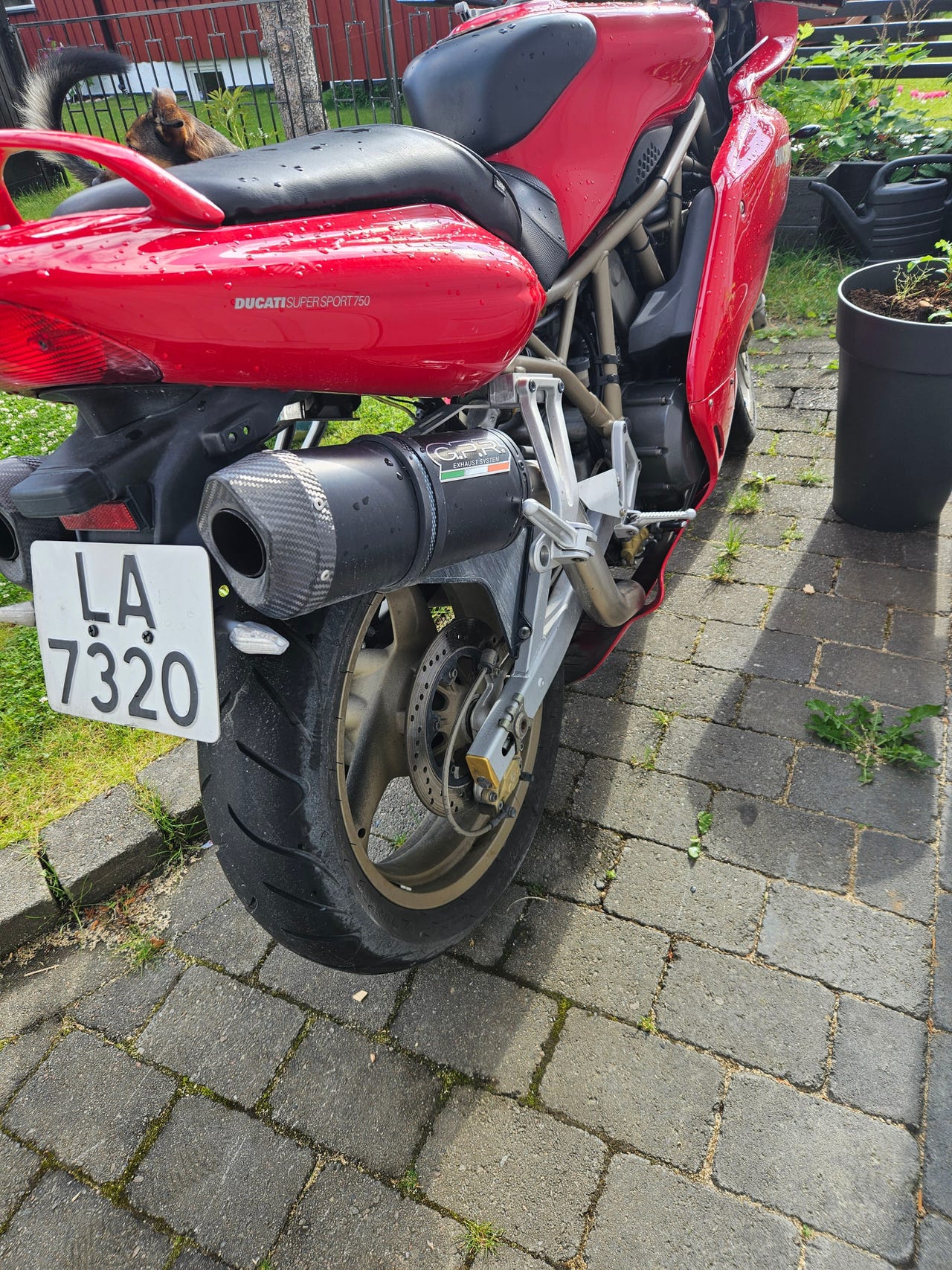 Til salgs: Ducati 750 ss - 2000 - 748 ccm - Sport | FINN.no