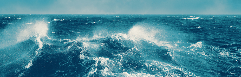 Bilde fra arbeidsgiver