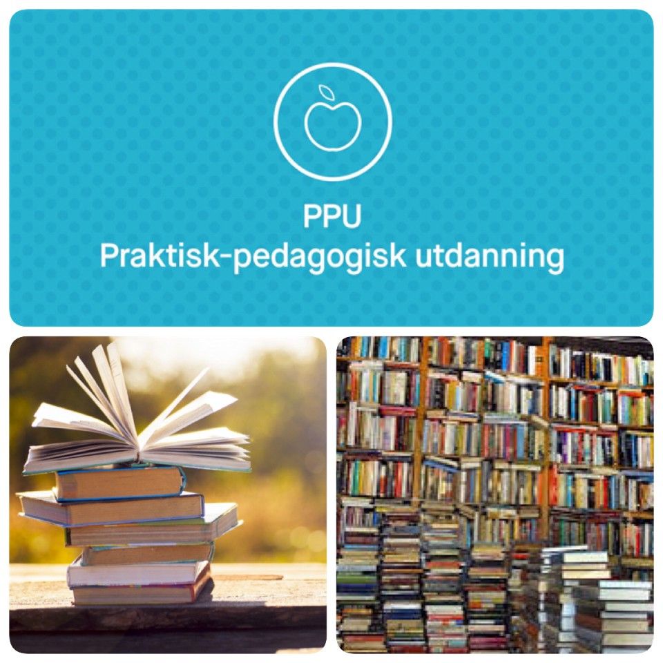 Praktisk-Pedagogisk Utdanning For Yrkesfag (PPU, Y) Pensum Bøker ønskes ...