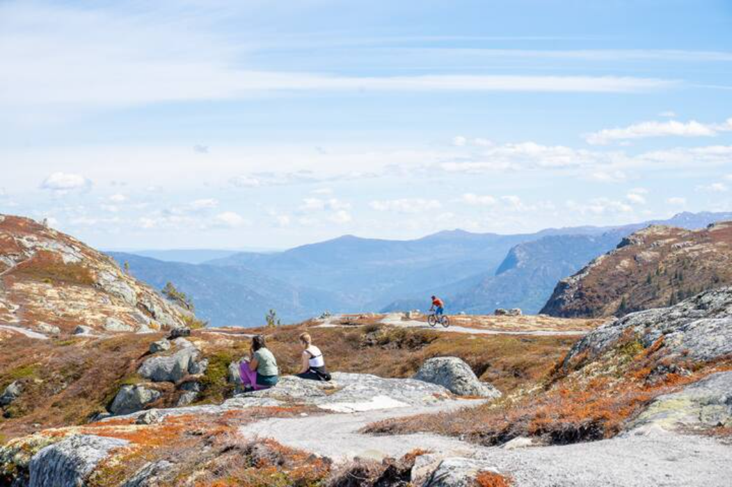 Hallingspranget Galleribilde