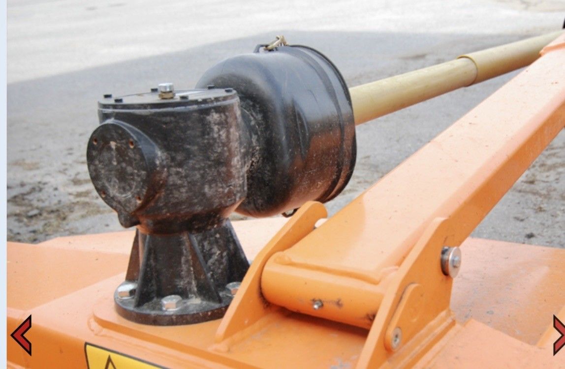 637_415895890.jpg