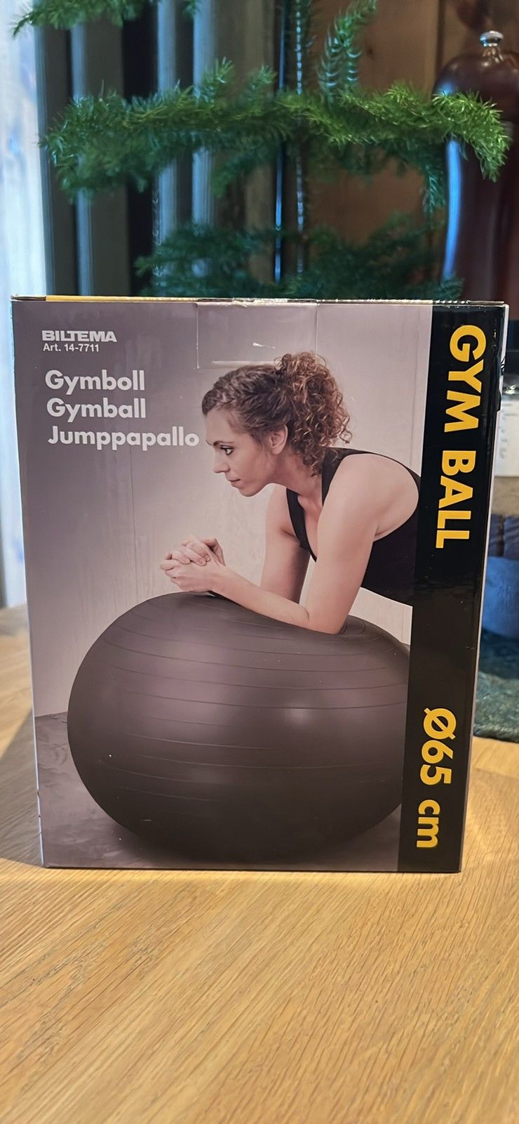 Gym best sale ball biltema